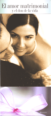 Los obispos de los E.E.U.U. explican cÃ³mo es el plan de Dios para el amor matrimonial, " es mÃ¡s rico y mÃ¡s satisfactorio" que el enfoque general tomado por nuestra cultura.