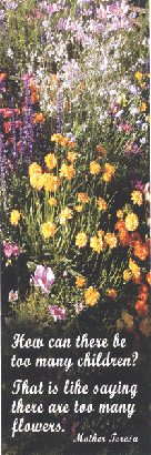 How Can There be Too Many Children?